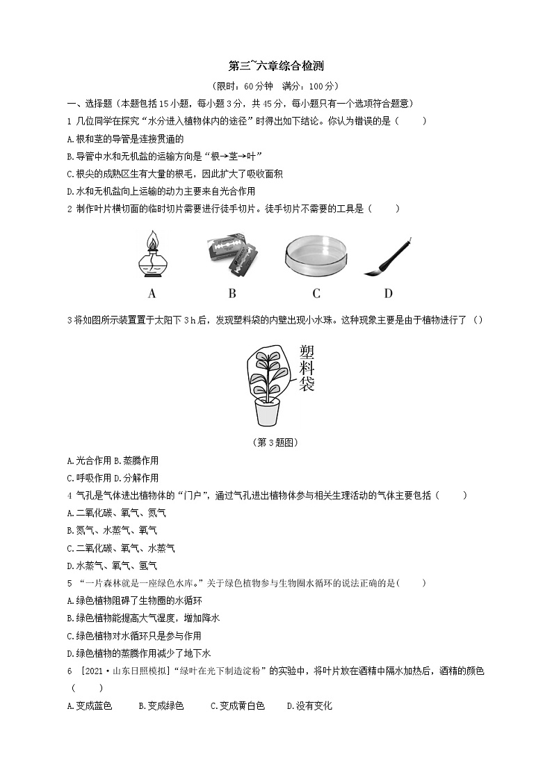 人教版生物七上  第三单元第三~六章测试卷（含答案）01