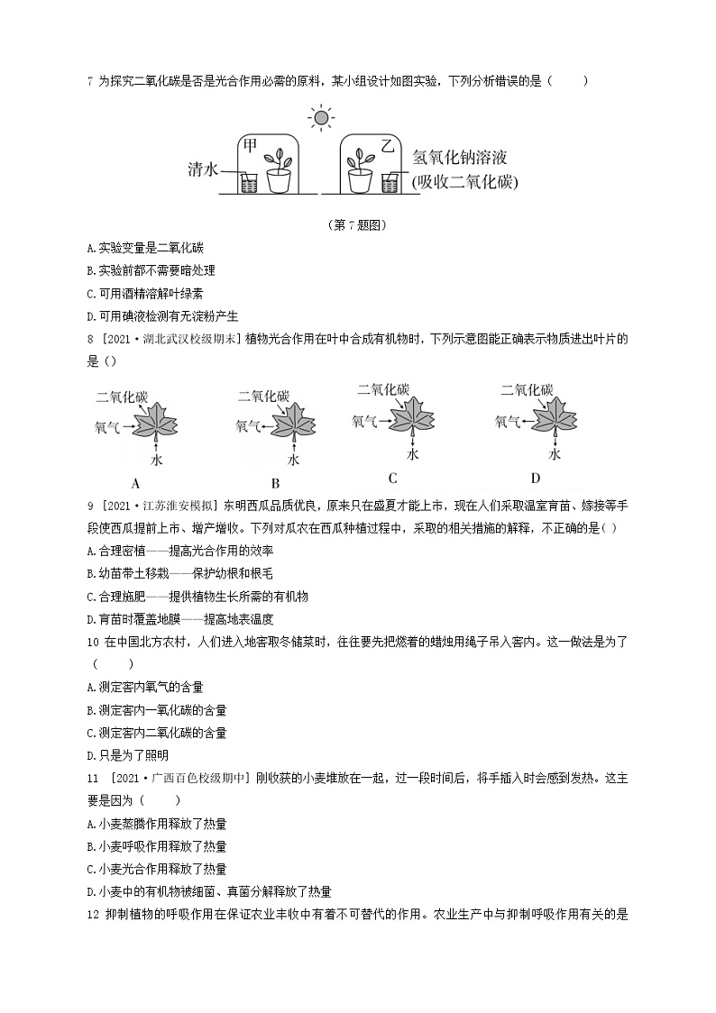 人教版生物七上  第三单元第三~六章测试卷（含答案）02