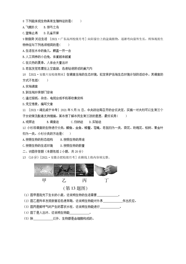 人教版生物七上  第一单元第一章测试卷（含答案）第2页