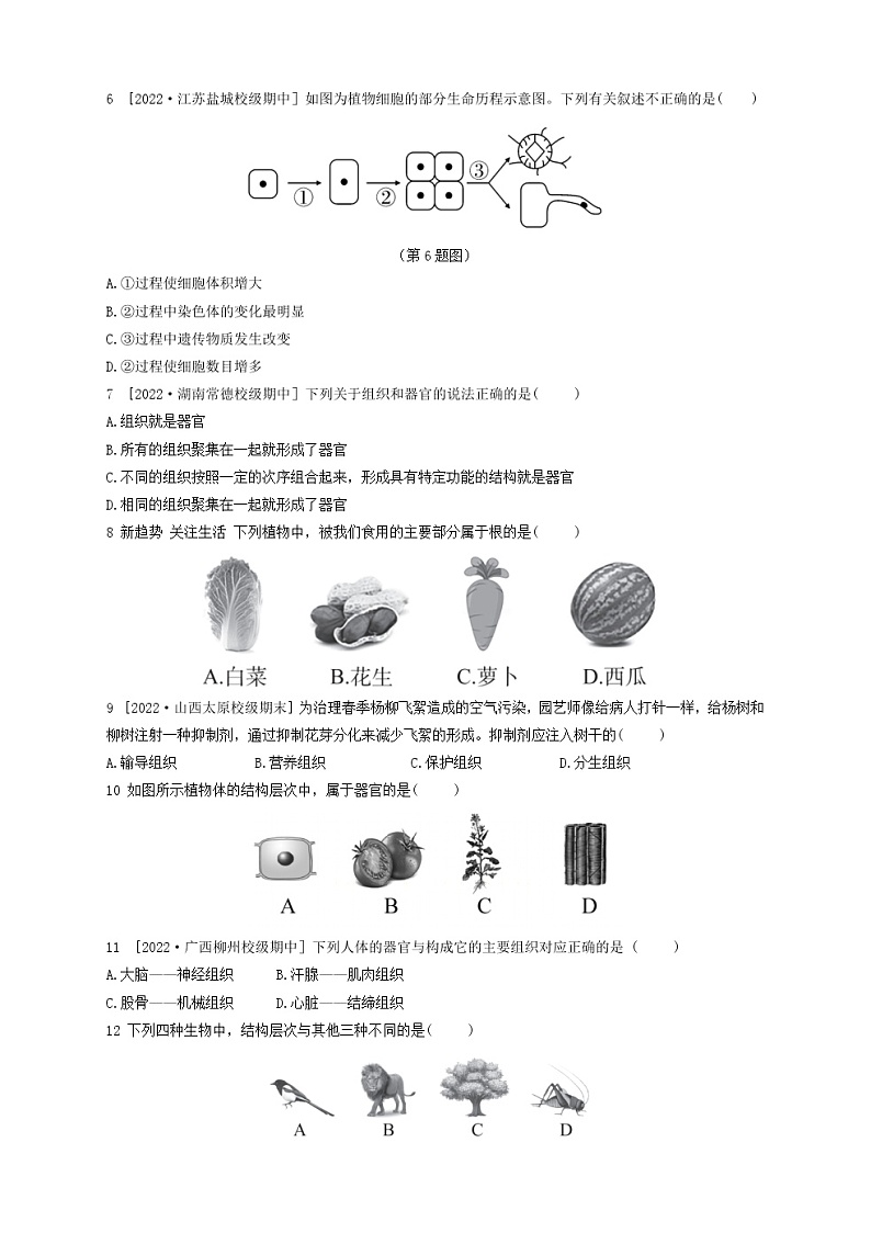 人教版生物七上  第二单元第二章测试卷（含答案）第2页