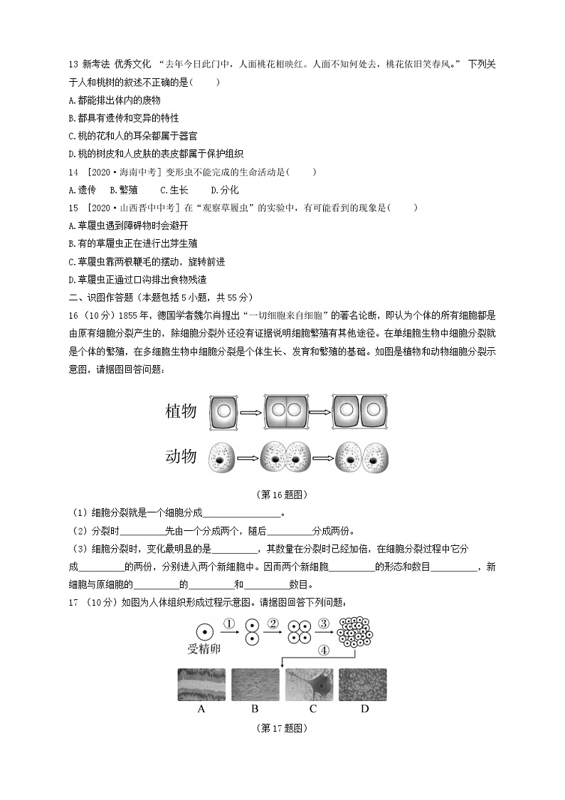 人教版生物七上  第二单元第二章测试卷（含答案）第3页
