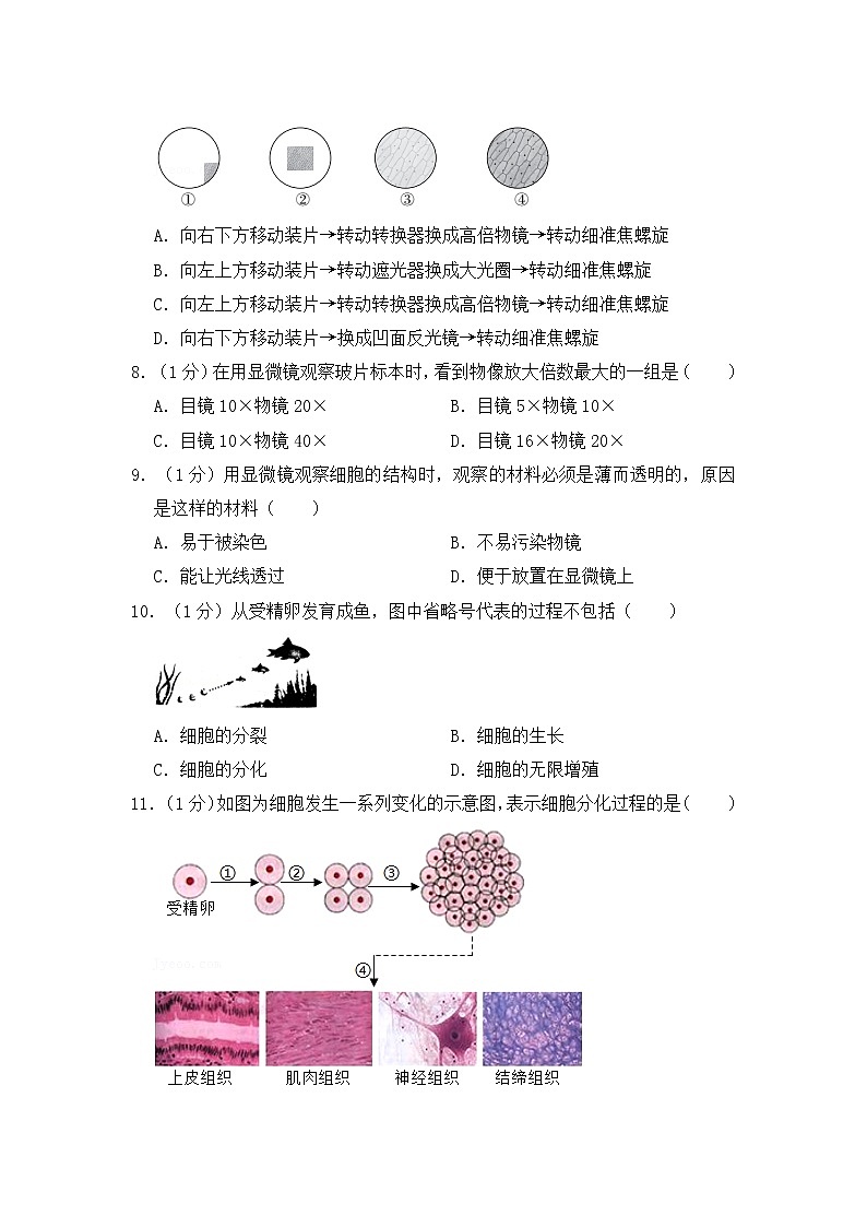 人教版生物七上  期中测试卷 (3)（含答案）第2页
