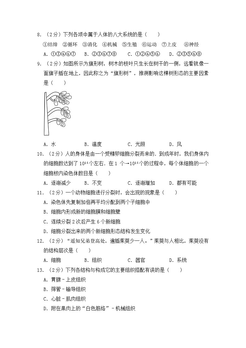 人教版生物七上  期中测试卷 (6)（含答案）02
