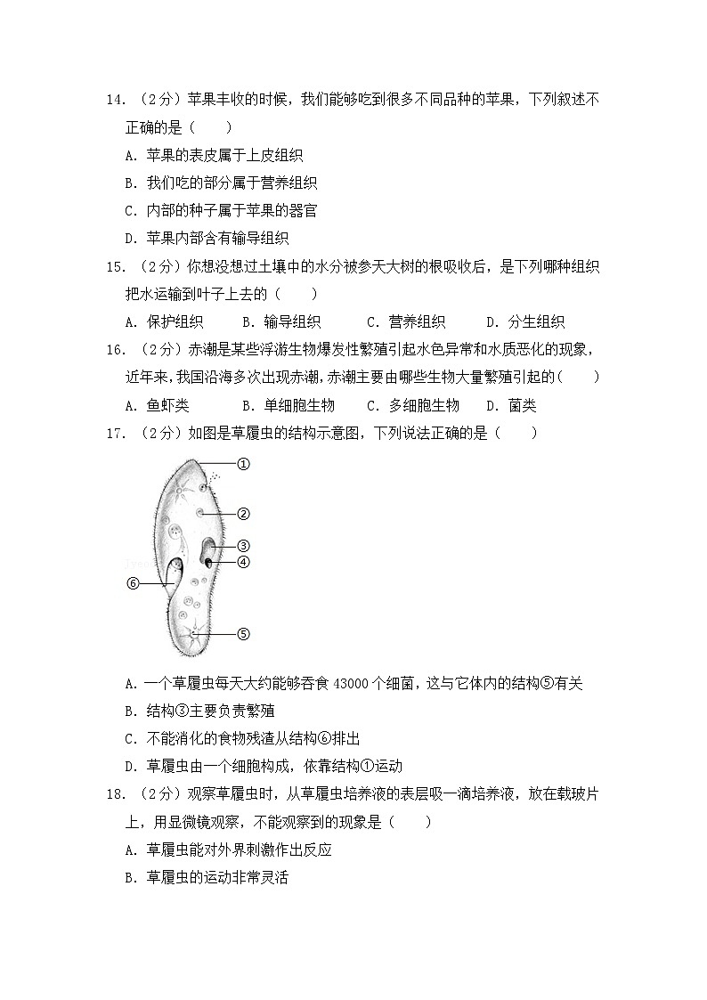 人教版生物七上  期中测试卷 (6)（含答案）03