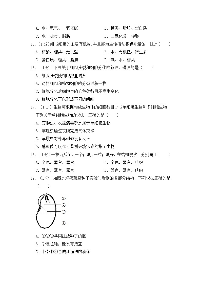 人教版生物七上  期中测试卷 (7)（含答案）03
