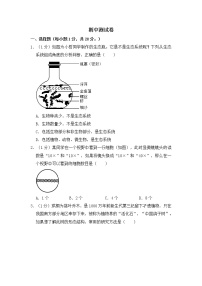 人教版生物七上  期中测试卷 (9)（含答案）