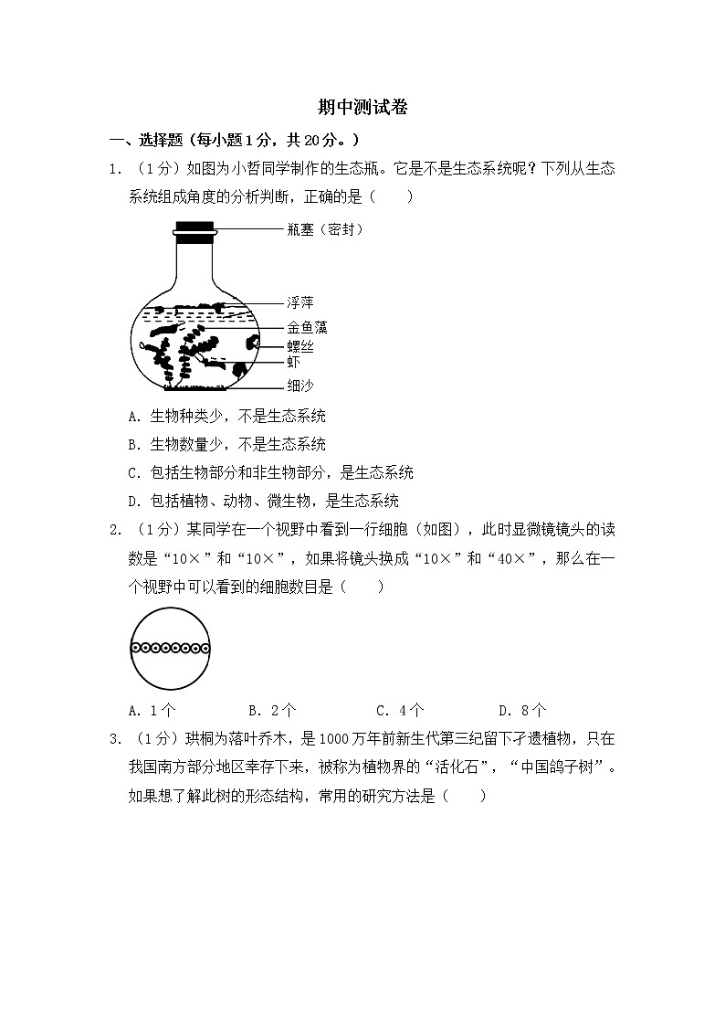 人教版生物七上  期中测试卷 (9)（含答案）01