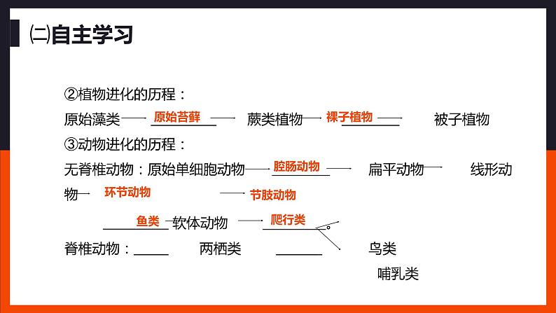 第二节 生物进化的历程 课件07