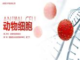 第三节 动物细胞 课件