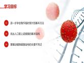 第三节 动物细胞 课件