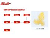 第三节 动物细胞 课件