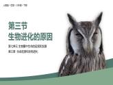 第三节 生物进化的原因 课件