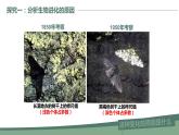 第三节 生物进化的原因 课件