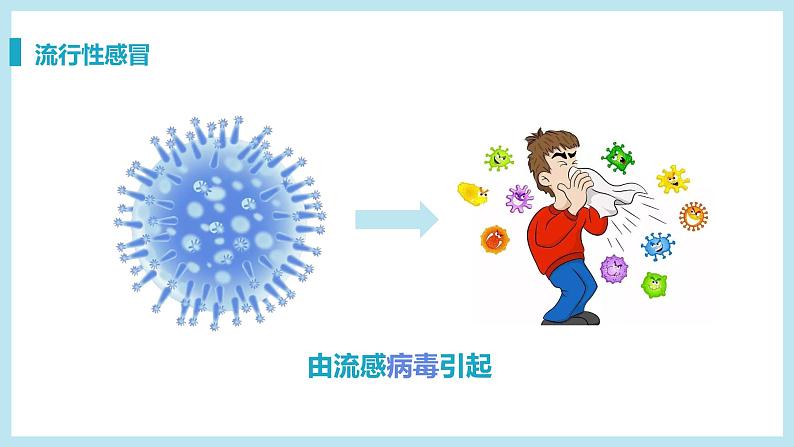 第一节 传染病及其预防 课件06