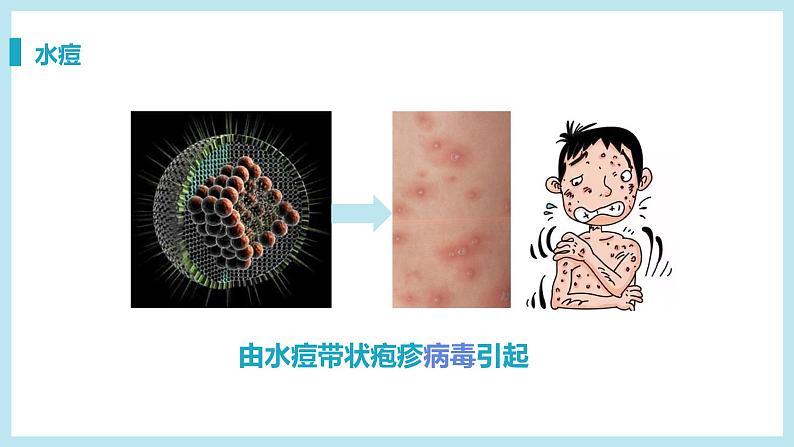 第一节 传染病及其预防 课件07