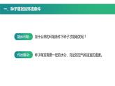 第一节 种子的萌发 课件