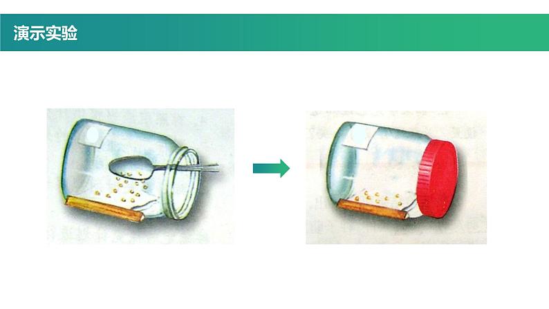 第一节 种子的萌发 课件第7页