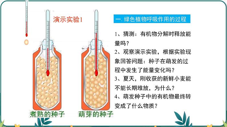 3.5.2 绿色植物的呼吸作用课件PPT04