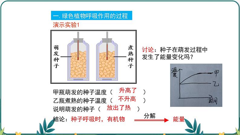 3.5.2 绿色植物的呼吸作用课件PPT05