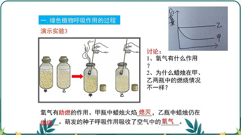 3.5.2 绿色植物的呼吸作用课件PPT07