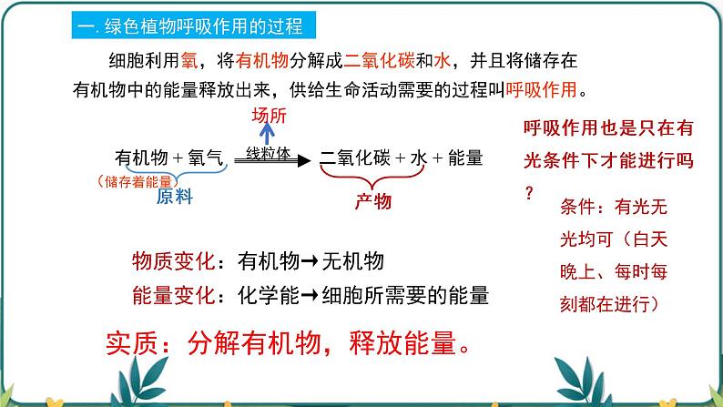 3.5.2 绿色植物的呼吸作用课件PPT08