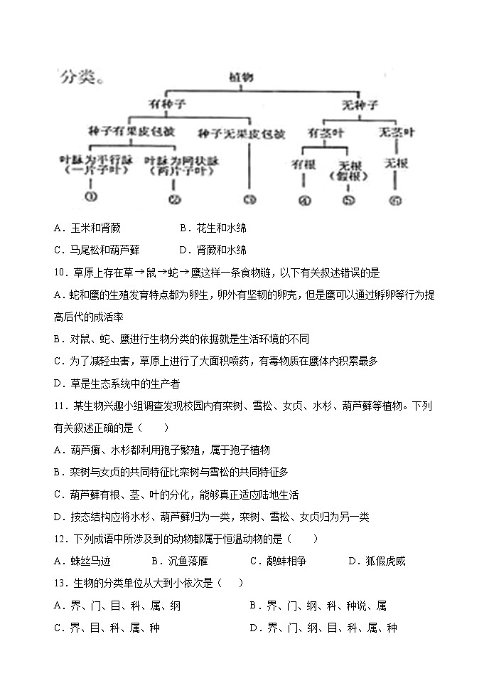 第六单元第一章检测卷03