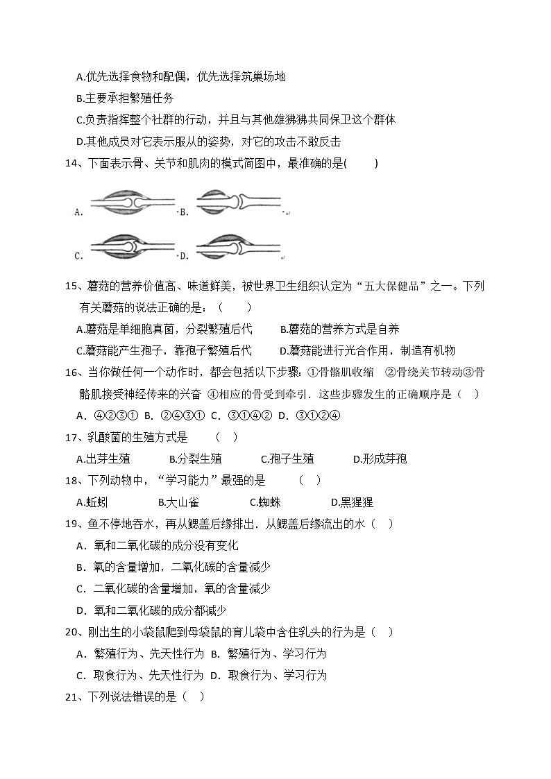 人教版生物八上 期中测试卷8（含答案）第3页