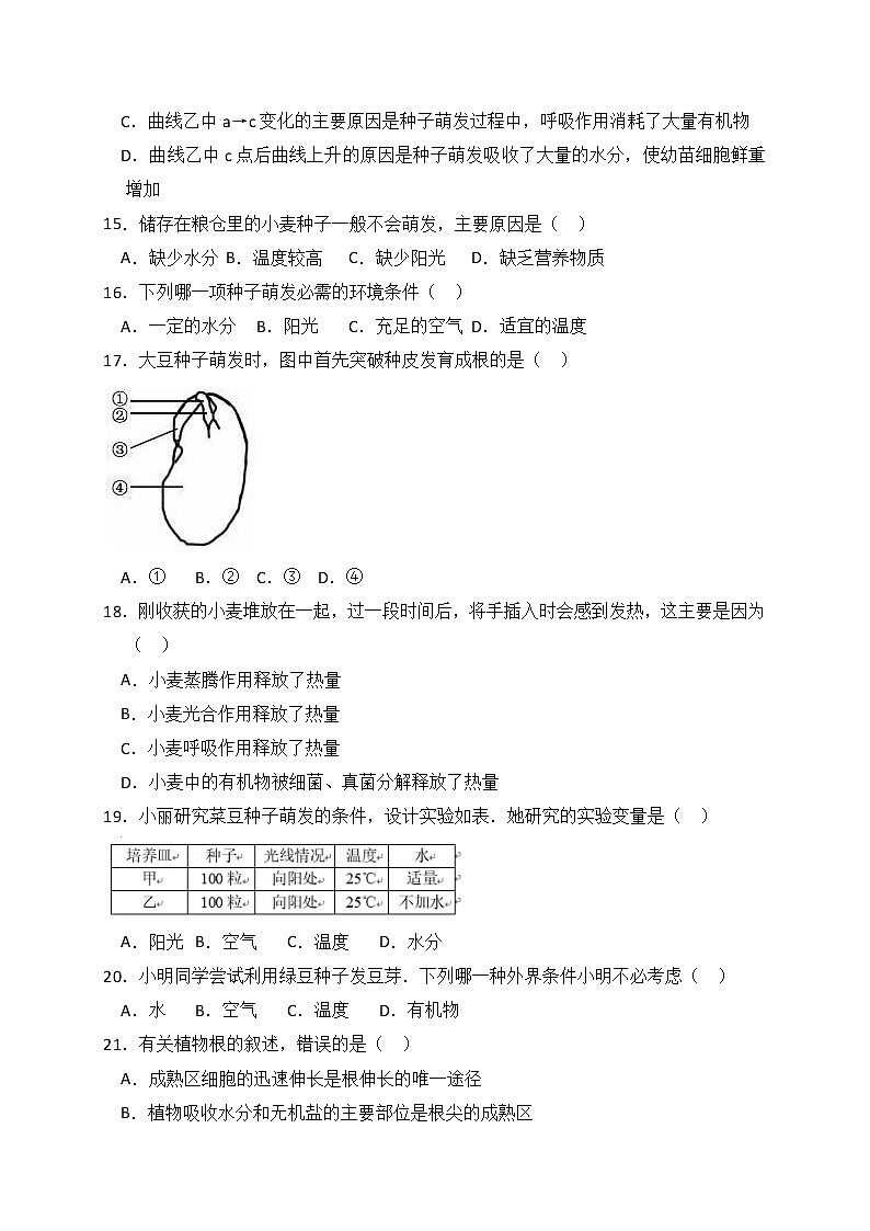 人教版生物八上 期中测试卷9（含答案）第3页