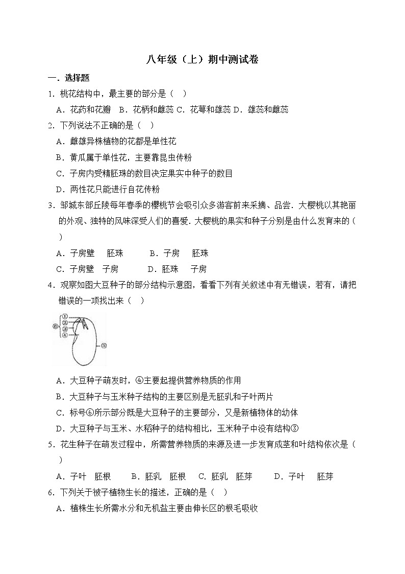 人教版生物八上 期中测试卷10（含答案）01
