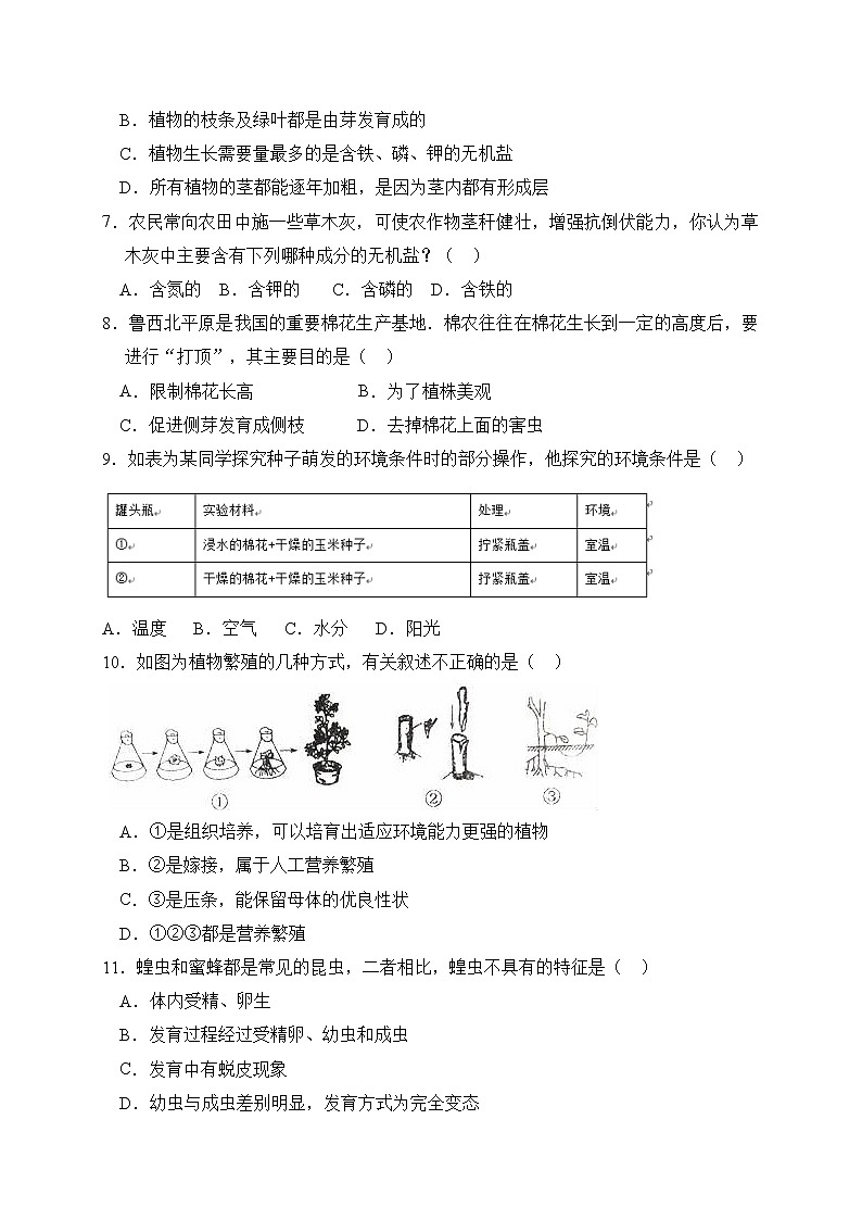 人教版生物八上 期中测试卷10（含答案）02