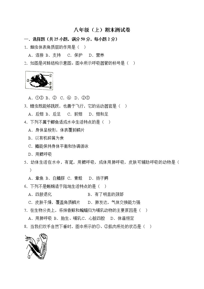 人教版生物八上 期末测试卷5（含答案）01