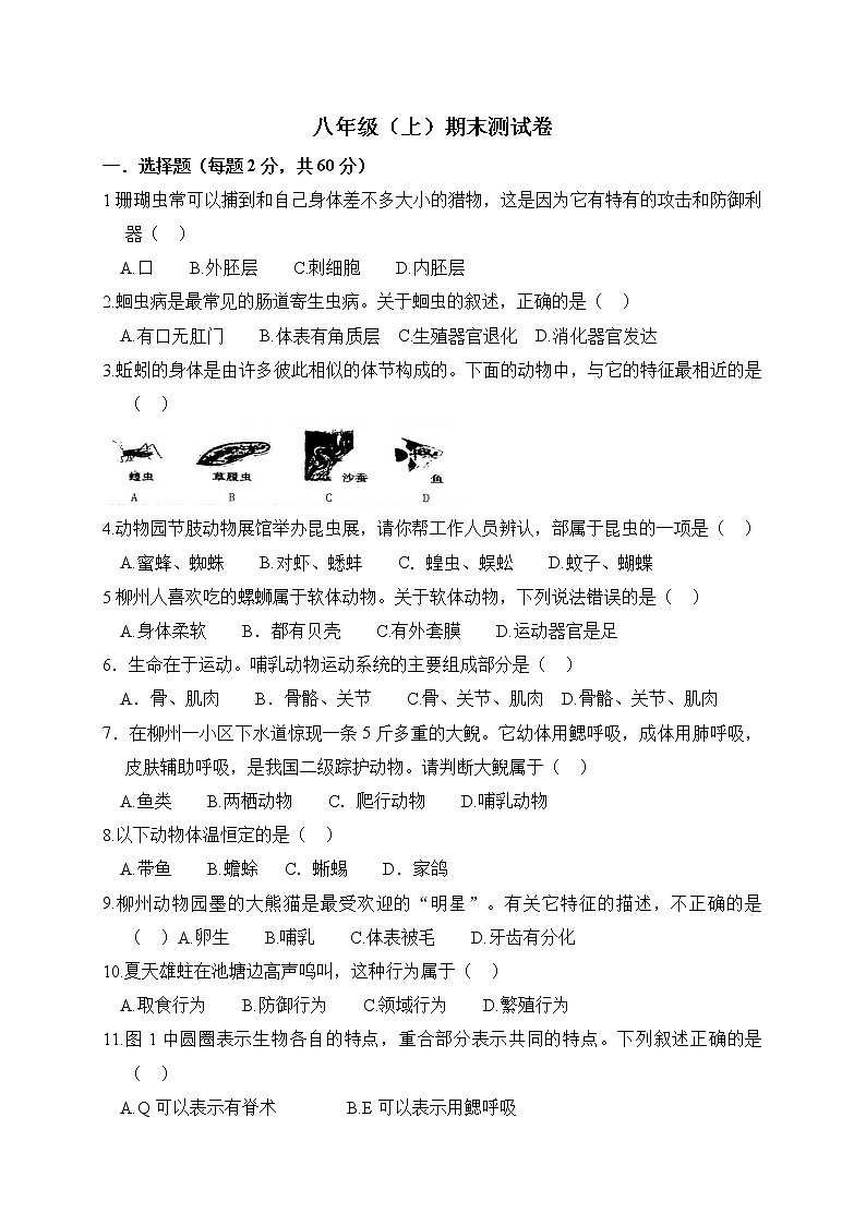 人教版生物八上 期末测试卷9（含答案）第1页