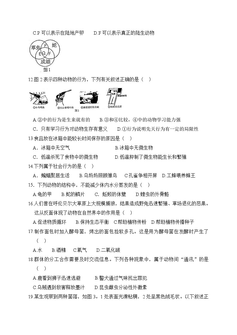 人教版生物八上 期末测试卷9（含答案）第2页