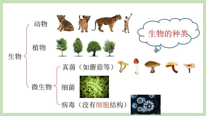 1.1.1生物的基本特征 课件 济南版生物七年级上册08