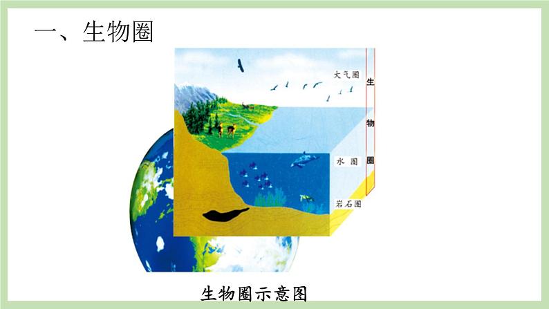 1.1.2生物的生活环境 课件 济南版生物七年级上册03