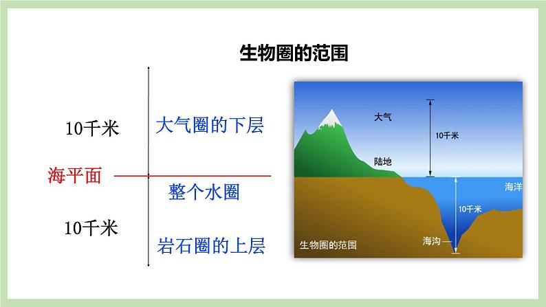 1.1.2生物的生活环境 课件 济南版生物七年级上册05