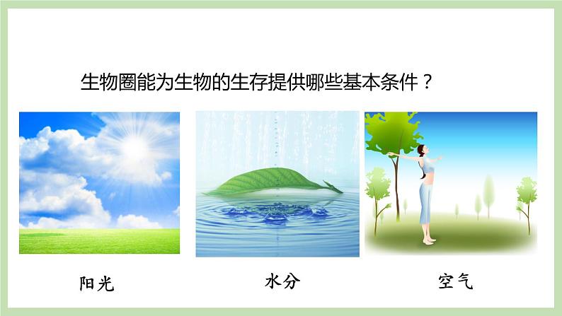 1.1.2生物的生活环境 课件 济南版生物七年级上册06