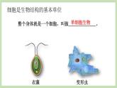 1.2.1细胞的结构和功能 课件 济南版生物七年级上册