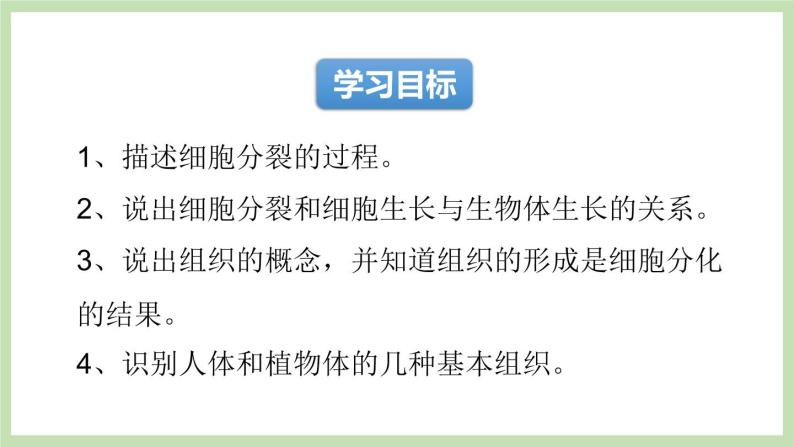 1.2.2细胞的分裂与分化 课件 济南版生物七年级上册04