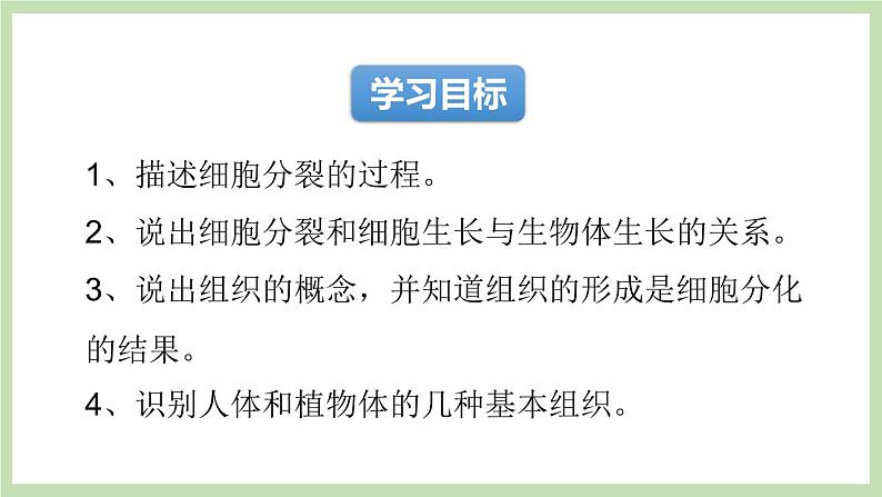 1.2.2细胞的分裂与分化 课件 济南版生物七年级上册04