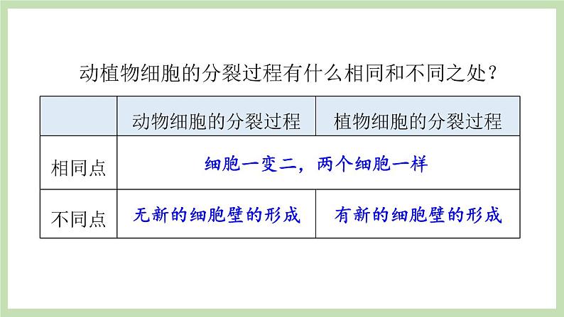 1.2.2细胞的分裂与分化 课件 济南版生物七年级上册08