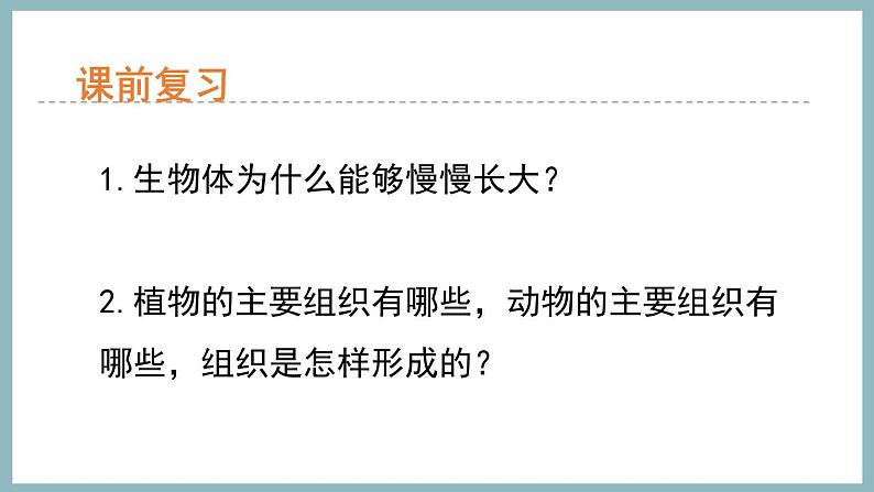 1.2.3多细胞生物体的结构层次 课件 济南版生物七年级上册02