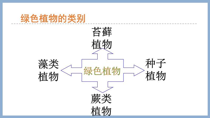 2.1.1绿色植物的主要类群第1课时 课件 济南版生物七年级上册第4页