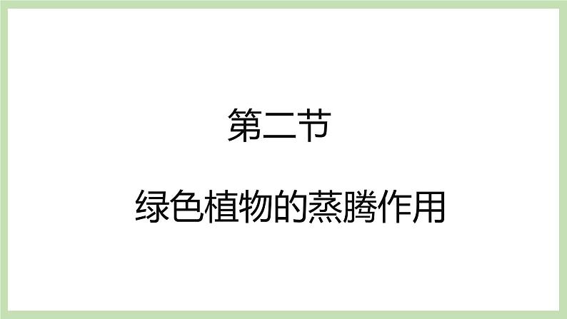 2.1.2绿色植物的蒸腾作用 课件 济南版生物七年级上册01