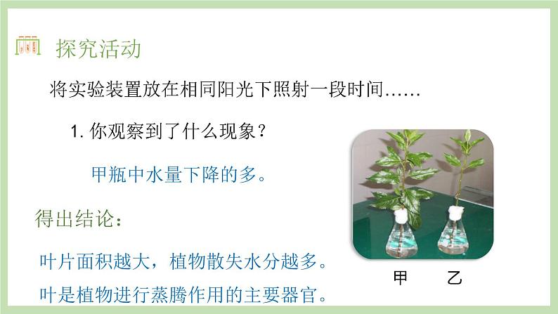 2.1.2绿色植物的蒸腾作用 课件 济南版生物七年级上册06