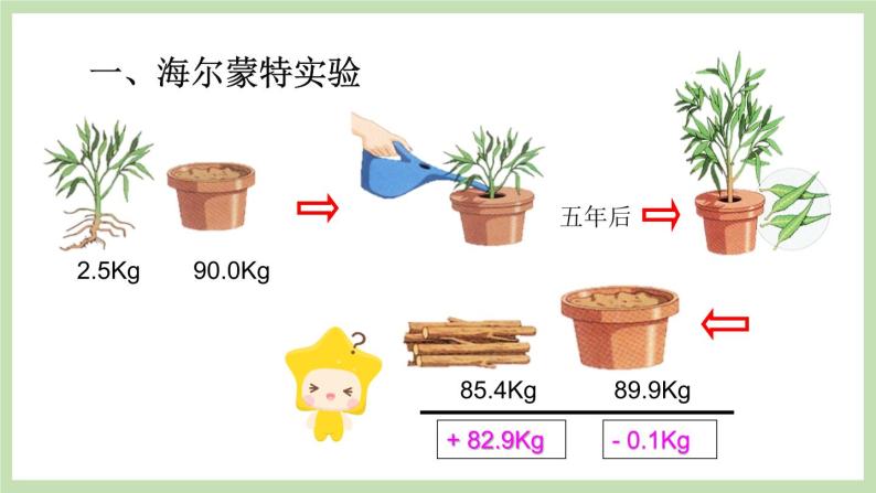 2.1.3绿色植物的光合作用 第2课时 课件 济南版生物七年级上册04