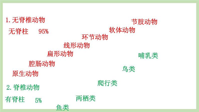 2.2.1无脊椎动物的主要类群 第1课时 课件 济南版生物七年级上册03