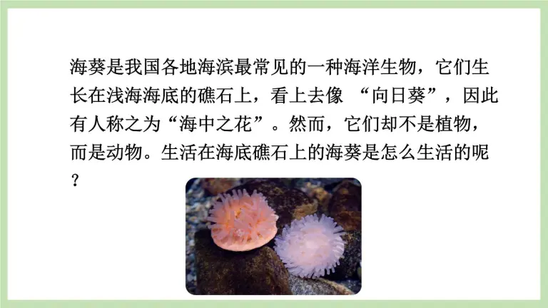 初中生物第一节无脊椎动物的主要类群教课内容课件ppt 教习网 课件下载