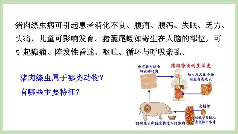 2.2.1无脊椎动物的主要类群 第2课时 课件 济南版生物七年级上册02