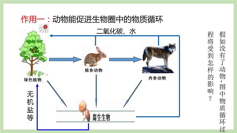 2.2.5动物在生物圈中的作用 课件 济南版生物七年级上册03